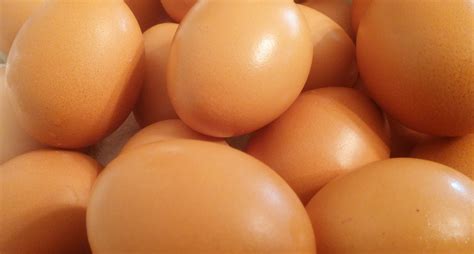Free Images Food Produce Brown Chicken Shell Nutrition Eggs