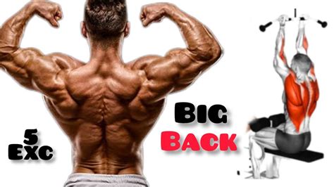 5 Best Huge Back Workout To Bigger Back Fast Back Excercises Youtube