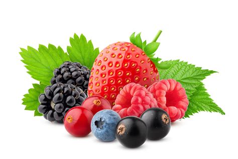 Frutas Vermelhas Exemplos Nutrientes Benefícios Infoescola