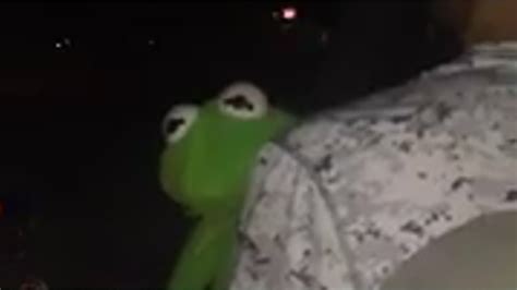 Kermit The Frog Meme Song Meme Walls