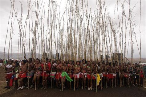 annual royal zulu reed dance triphobo
