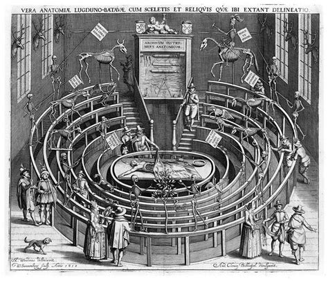 The Anatomy Theatre At Leiden Wikimedia Commons Download Scientific