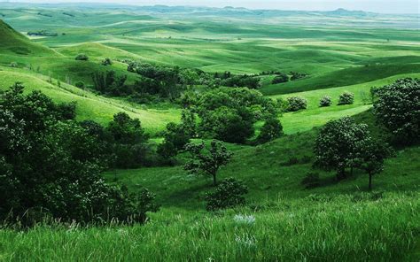 Grassland Wallpapers Wallpaper Cave