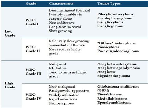 The Grades Of Brain Cancer Metrohealth Hmo 2019 Download