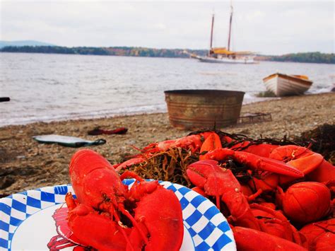 The History Of The Clambake Maine Ly Lobster