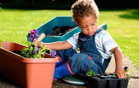 Las 6 Plantas Más Faciles De Cuidar Para Los Niños