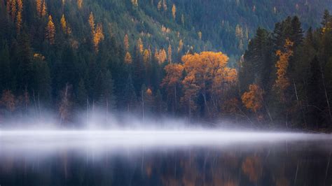 Wallpaper Echo Lake Forest Trees Fog Columbia Autumn 5k Nature 16425