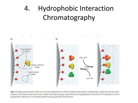 Ppt Liquid Chromatography Powerpoint Presentation Free Download Id