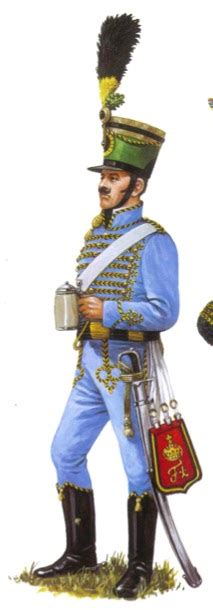 Core Elective Studies Military Uniform Hussars Of The Napoleonic Wars