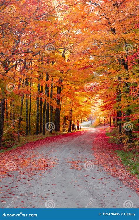 Autumn Country Road Surrounded By Colorful Fall Foliage Stock Photo