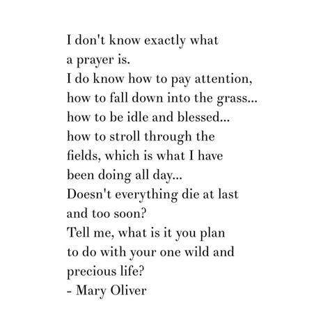 Mary Oliver Quote From One Summer Day Poem Tell Me What Is It You