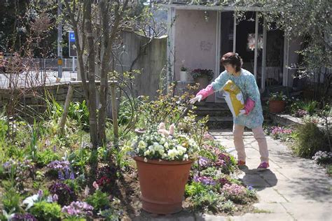 冬の手入れで春に違いが出る！美しいバラの庭で行われている冬の庭仕事 Gardenstory ガーデンストーリー
