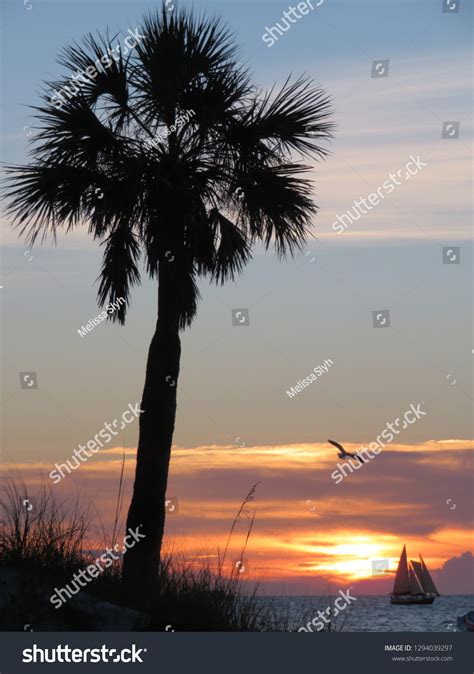 473 Clearwater Fl Beach Images Stock Photos And Vectors Shutterstock