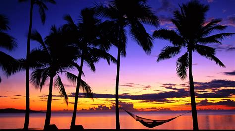 Purple Tropical Sunset Beach Wallpapers Top Free Purple Tropical