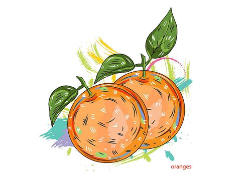 Oranges With Colorful Splashes Vector Ai Eps Uidownload