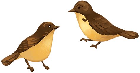 Two Birds Clipart Free Download Transparent Png Creazilla