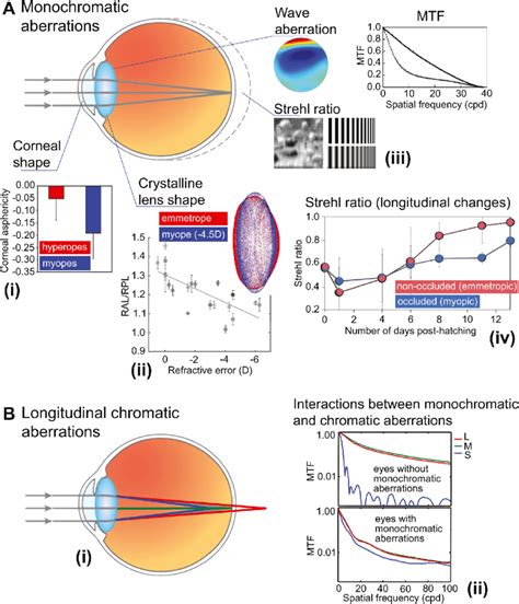 Optical Aberrations And Refractive Eye Development A Monochromatic