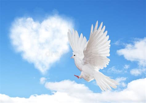 Blue Sky With Hearts Shape Clouds And Dove Stock Image Image Of