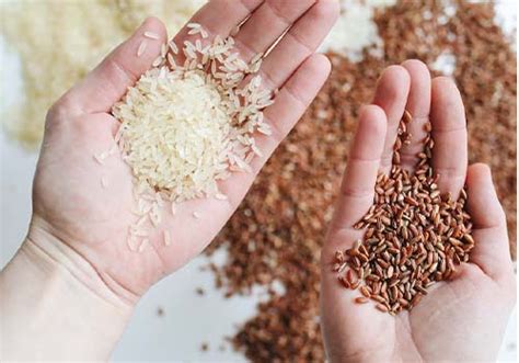 Difference Between Basmati Rice And Non Basmati Rice Saar Enterprises