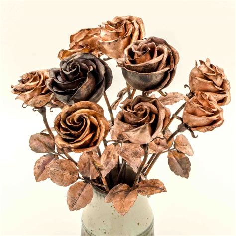 Roses Copperflora