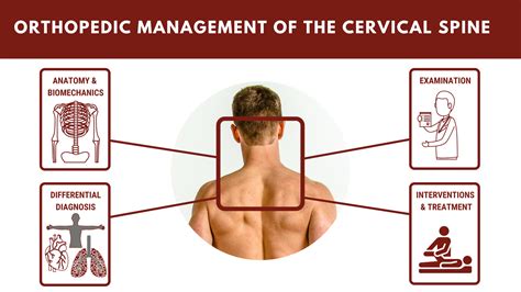 Orthopedic Management Of The Cervical Spine Movement University