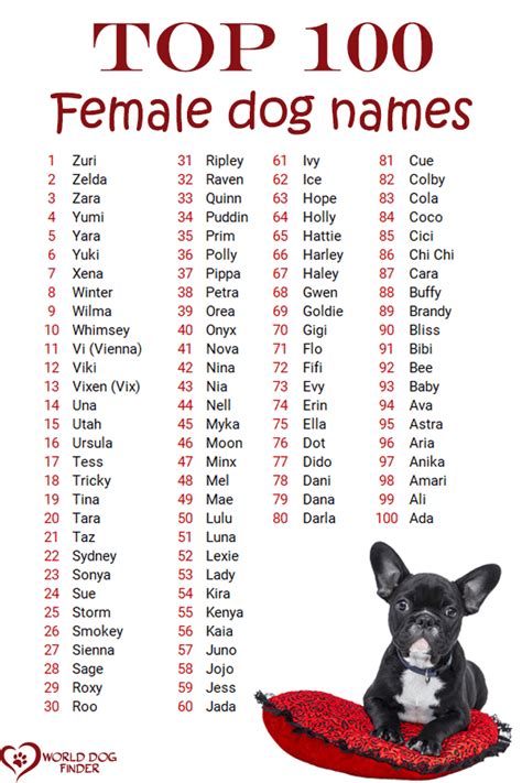 Girl Puppy Names Unique Cute Animal Names Cute Names For Dogs Unique