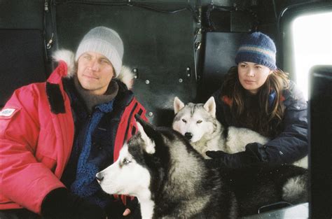 In the antarctic, after an expedition with dr. Imagini Eight Below (2006) - Imagini Minus 25 grade ...