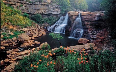 Waterfalls Rocks Flowers Trees Wallpapers Waterfalls