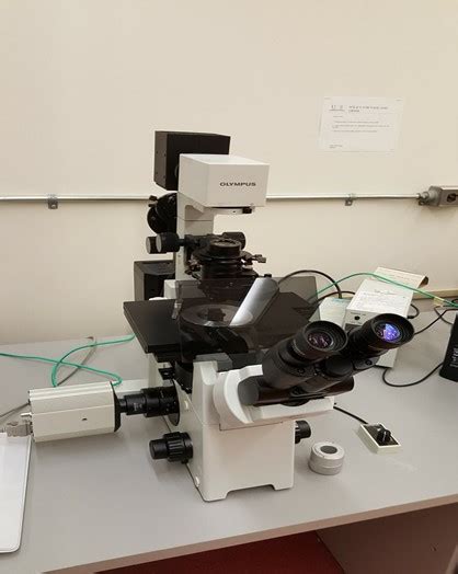 Olympus Ix51 Inverted Microscope Lakehead University