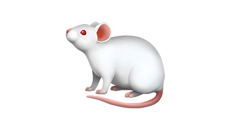 🐁 Mouse Emoji — Meaning In Texting Copy And Paste 📚