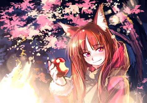 Holo Spice And Wolf Wolf Anime Spice And Wolf Fox Ears Fox Girl Hd Wallpaper Rare Gallery