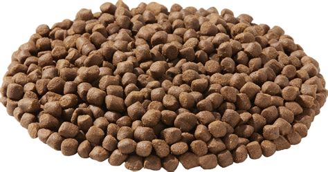 Wysong Epigen Venison Starch Free Formula Grain Free Dry Dog And Cat Food