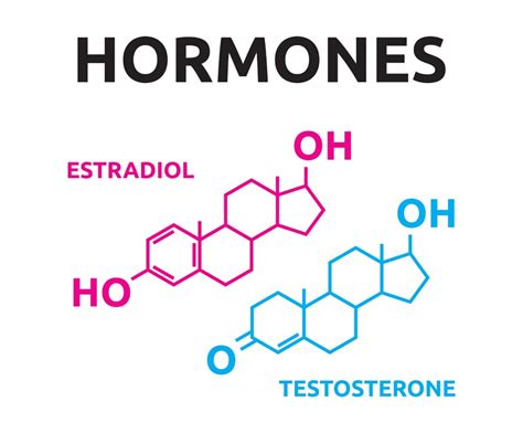 sex hormones detoxmetals