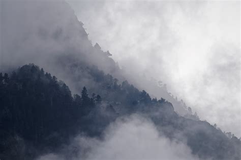 5308x3544 Landscape Cloud Mist Forest Woodland Fog Public Domain