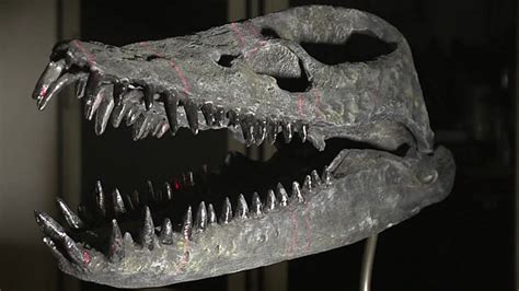 bbc news click 3d printing brings dinosaur fossils to life