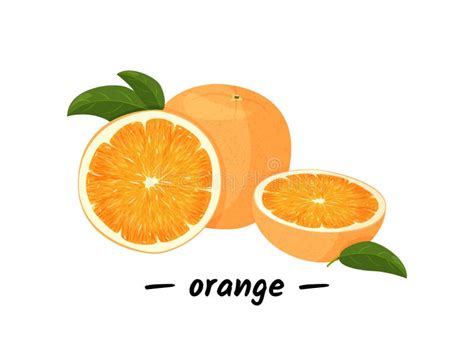 Orange Whole And Slice Of Oranges With Green Leaves Vector
