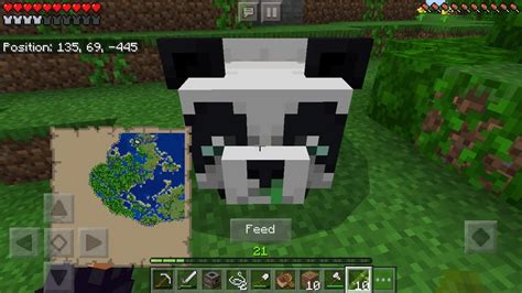 Found A Sick Panda Minecraft