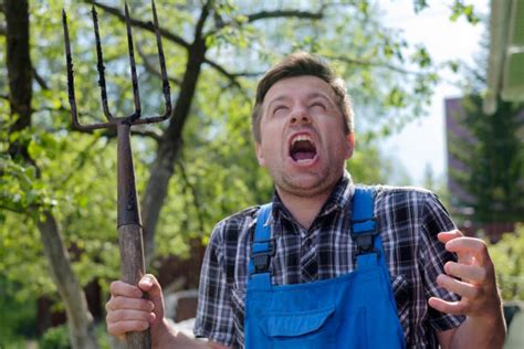 Angry People With Pitchforks Stock Photos Pictures And Royalty Free