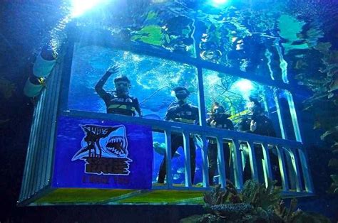 Discover the exciting underwater world with this ticket to aquaria klcc, kuala lumpur's aquarium. Aquaria KLCC's Cage Rage Tickets Price 2020 + [Online ...