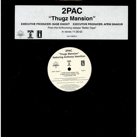 2pac Thugz Mansion Vinyl 12 2002 Us Original Hhv