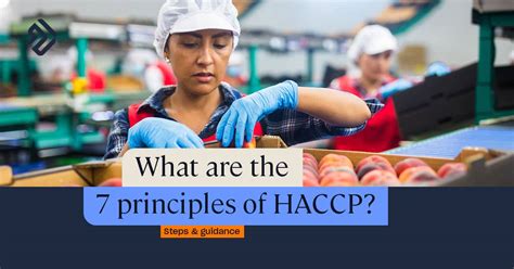 What Are The Haccp Principles Steps And Examples