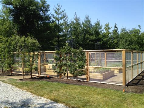 Vegetable Garden Fence Kit Hawk Haven
