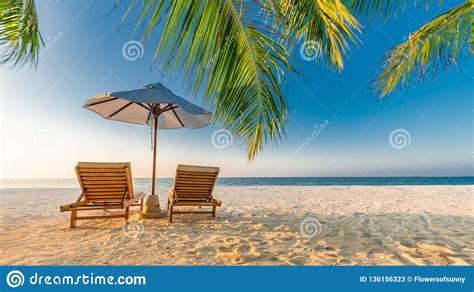 Tranquil Beach Scene Exotic Tropical Beach Resort