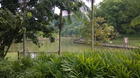 Carrie meanders through bukit kiara park, an awesome spot of nature set in ttdi, exploring jungle trails, walk and bike paths. Taman Persekutuan Bukit Kiara - Kuala Lumpur