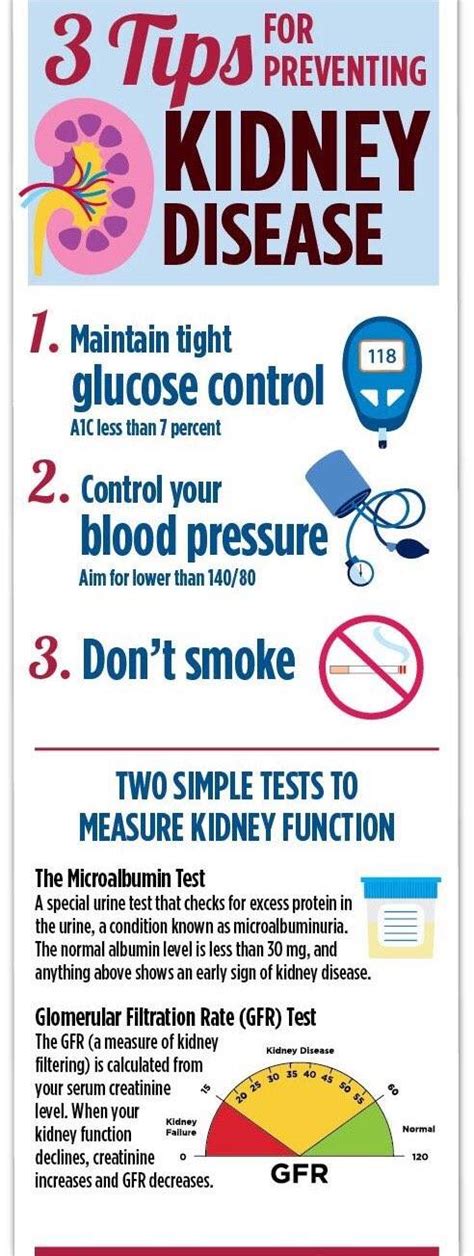 Infographic 3 Tips For Preventing Kidney Disease Health Blog Centre