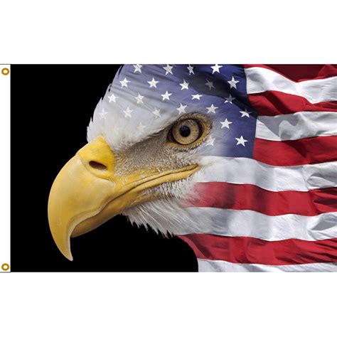 Us Flag Eagle Patriotic Bald Eagle Flag Falls Flag Source