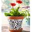 DIY Easy Flower Pot Painting Ideas 22  DecoRelated