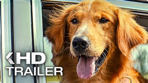 A Dogs Purpose Trailer 2017 Youtube