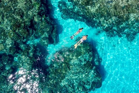 Australia S Best Snorkelling Spots Tourism Australia