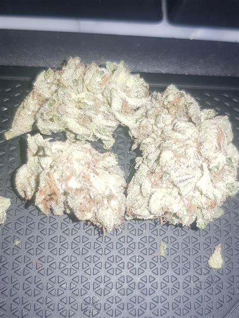 Stardawg Got To Love A Bit Stardawg Ruktrees